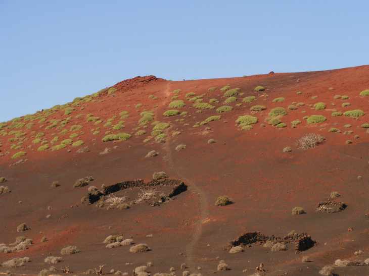 Lanzarote