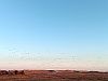 Amrum_Odde