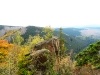 Brocken_im_Nebel