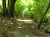 Feenweg