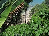 Khao_Lak_Lam_Ru_NP