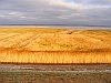 View_to_Foehr_Island