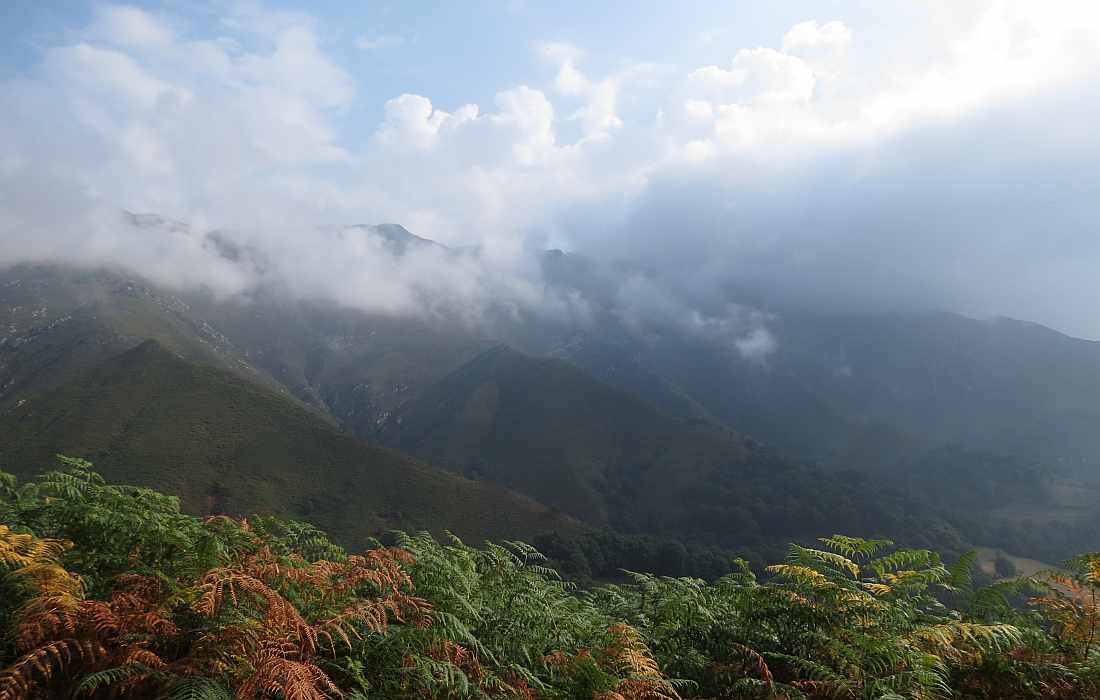 Asiegu