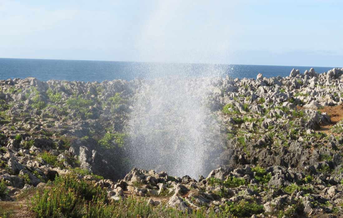 Bufones De Pria