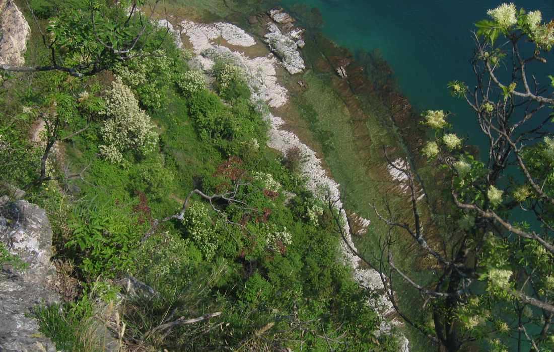 Rocca Di Manerba