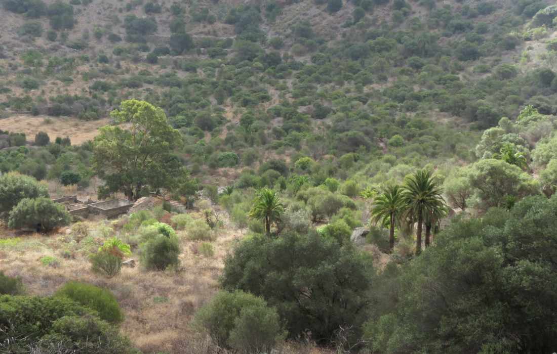 Caldera De Bandama