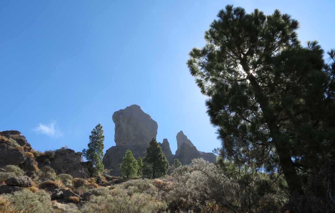 Roque Nublo