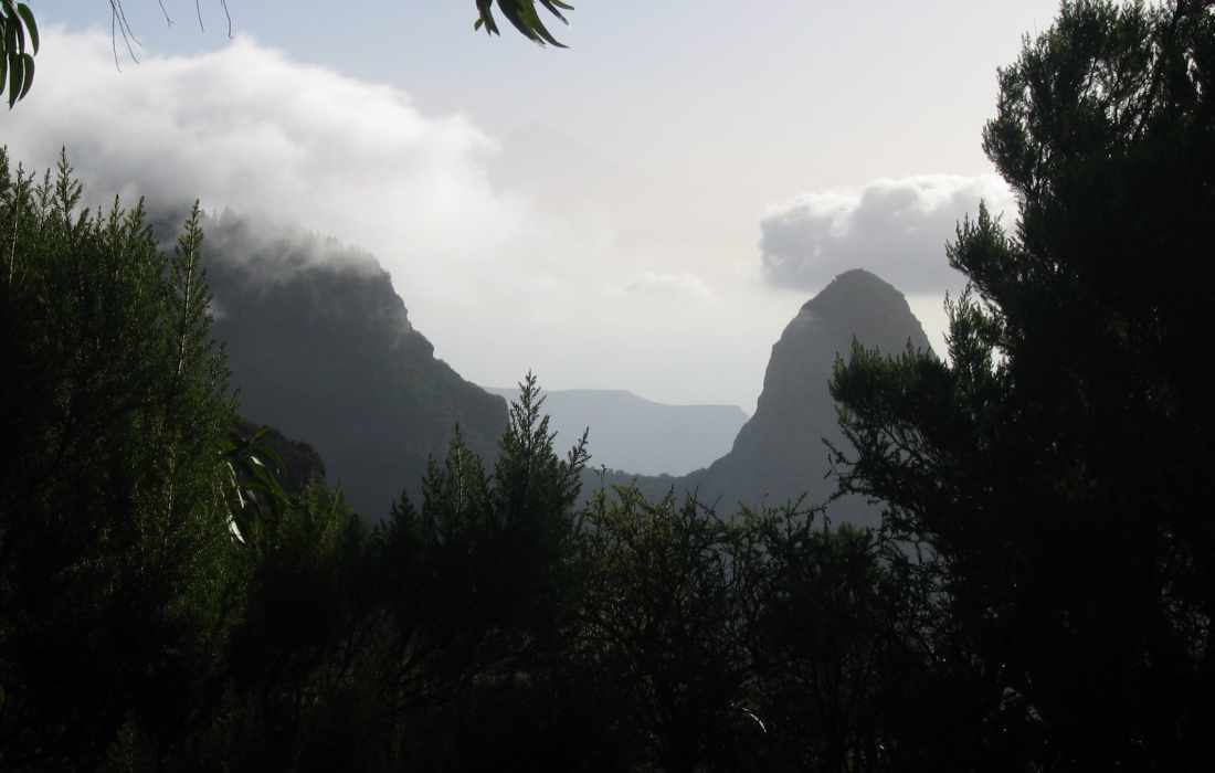 Roque De Argando