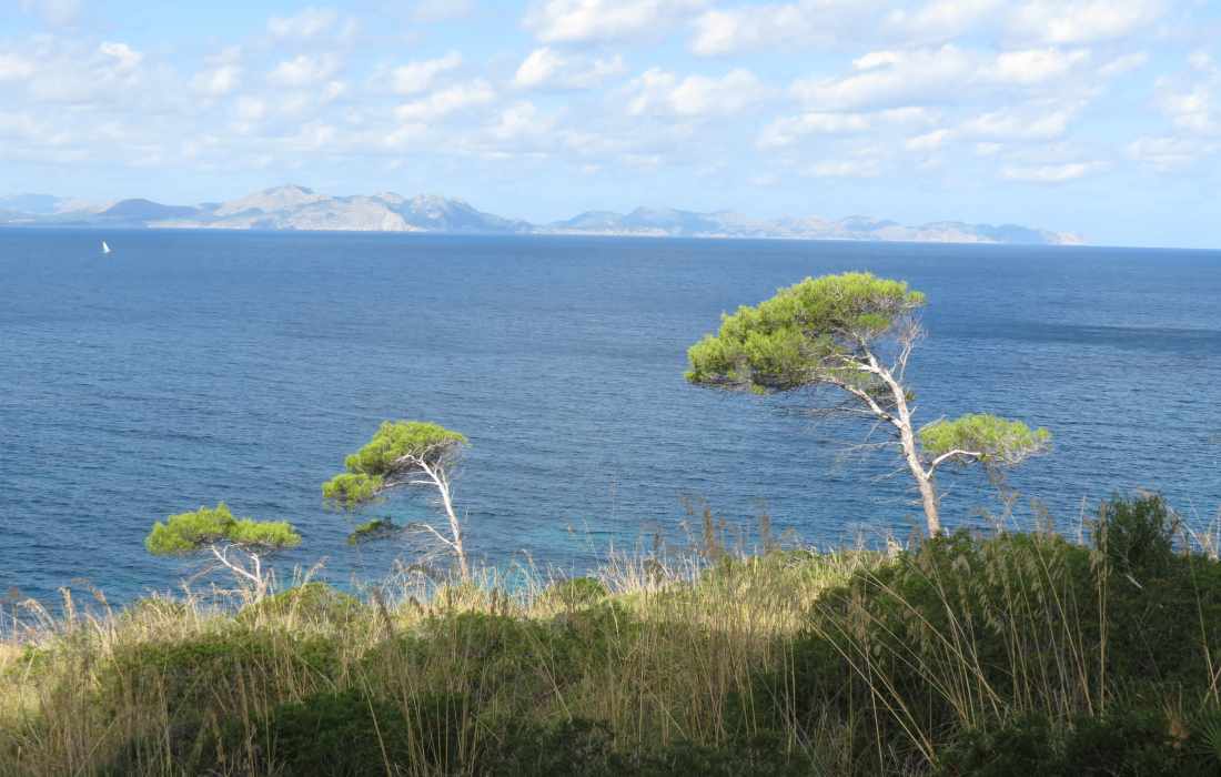 Cap Formentor