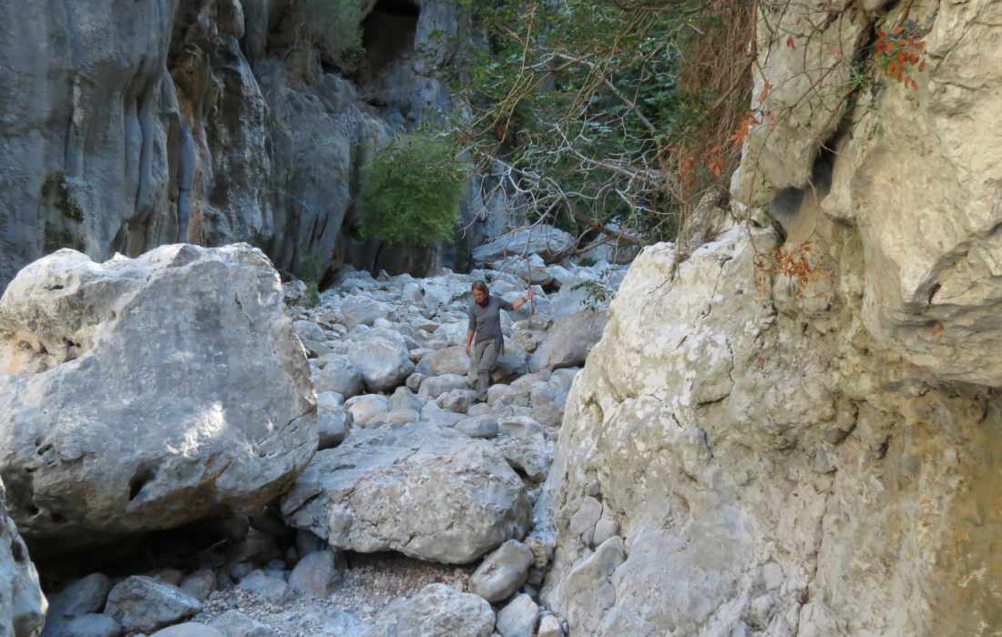 Torrent De Pareis