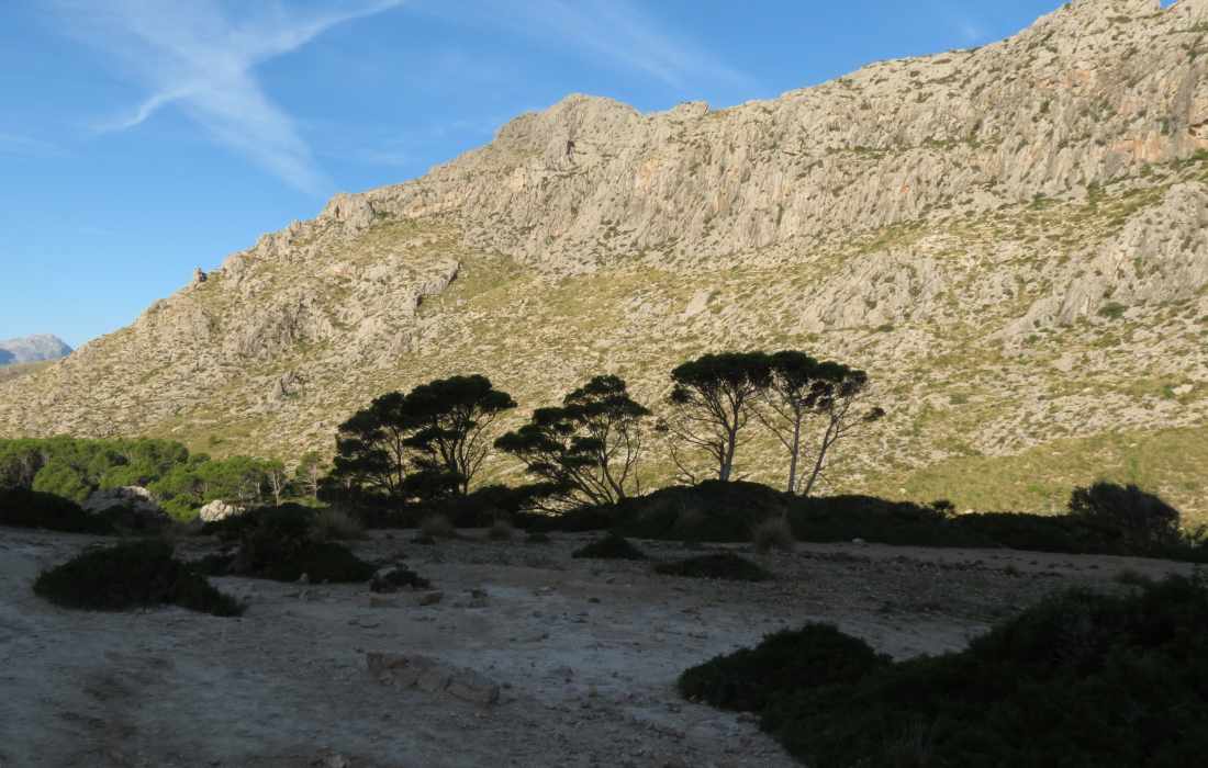 Val De Boquer