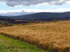 Glenallachie