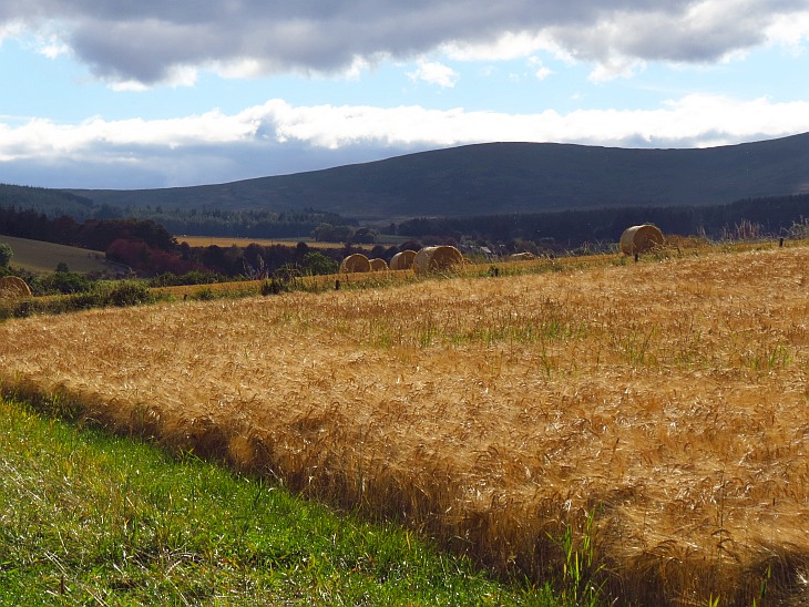 Glenallachie